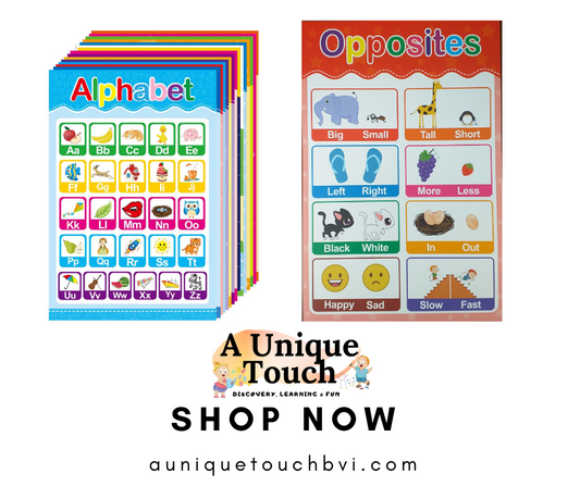 Educational Posters for Toddlers And Kids OPPOSITES