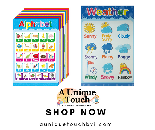 Educational Posters for Toddlers And Kids WEATHER